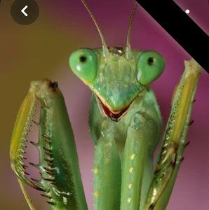 Meet your Posher, Barb